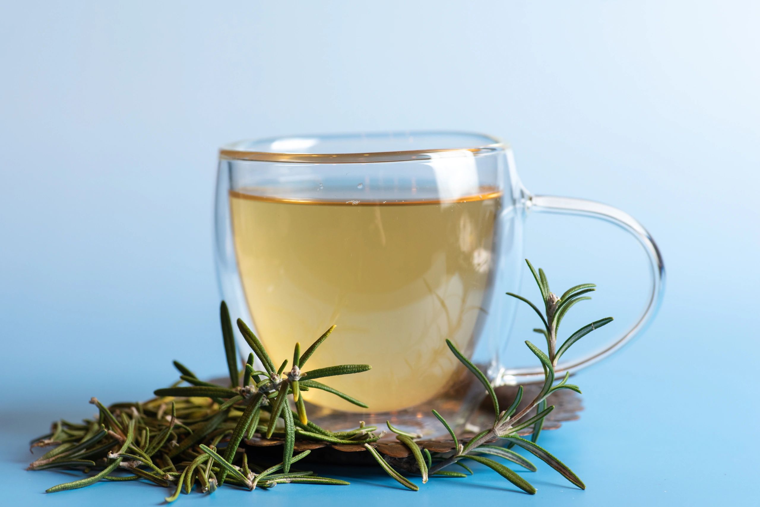 Cup of herbal tea with fresh rosemary