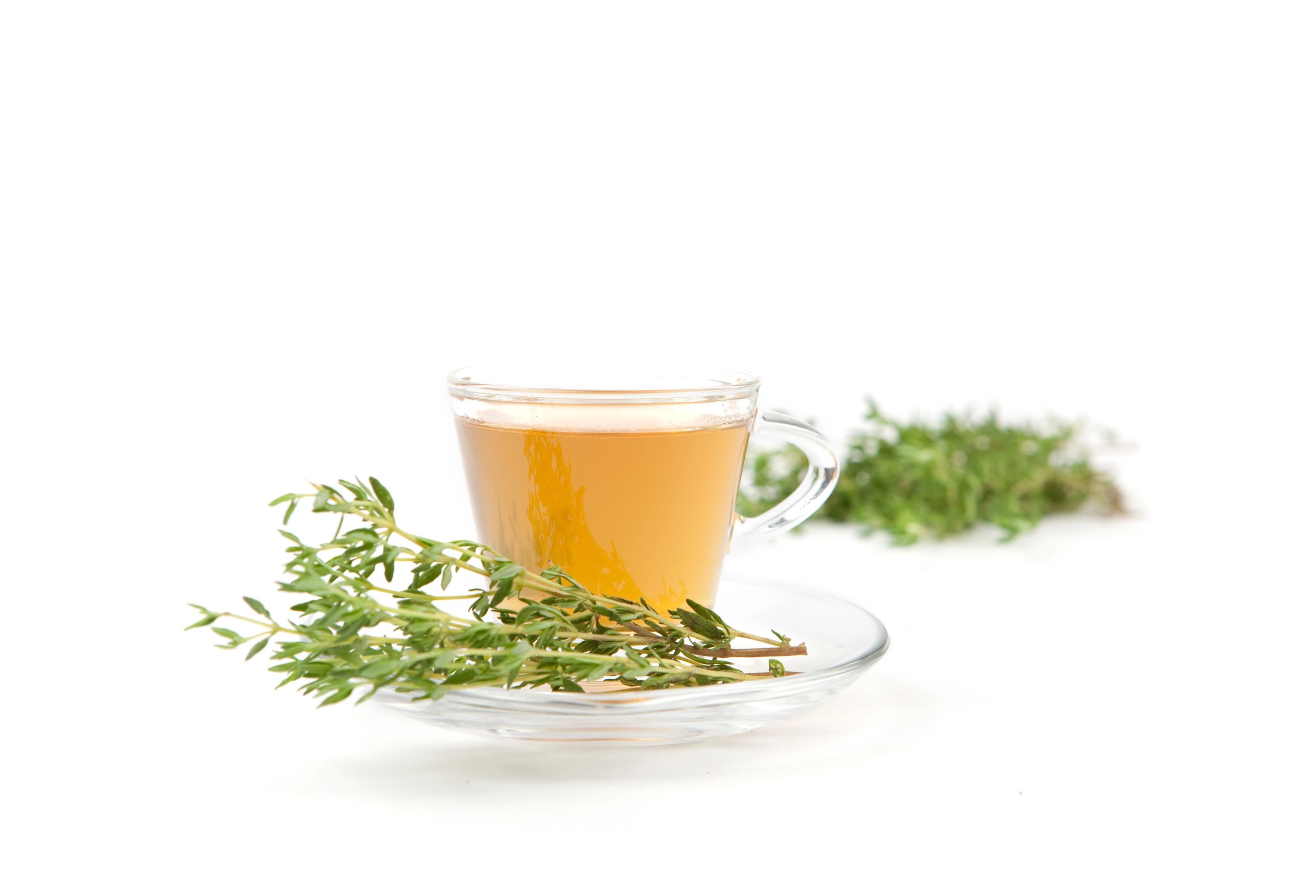 Transparent cup of herbal thyme tea