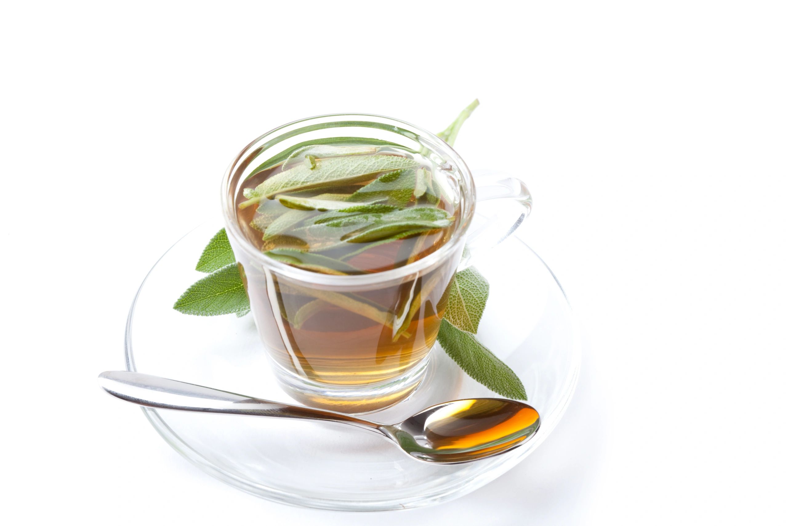 Cup of herbal tea with fresh herbs